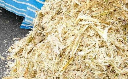 甘蔗渣想廢物利用？可以考慮生物質午夜美女福利视频！