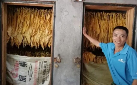光澤華僑鄉：改造生物質顆粒燃料烤房，助力煙農減工增收