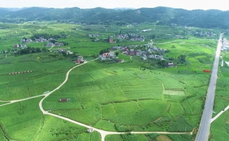 福泉：生物質顆粒智能化烘烤 助力烤煙產業提質增效