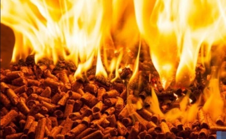 研報：歐洲的木屑顆粒供應衝擊