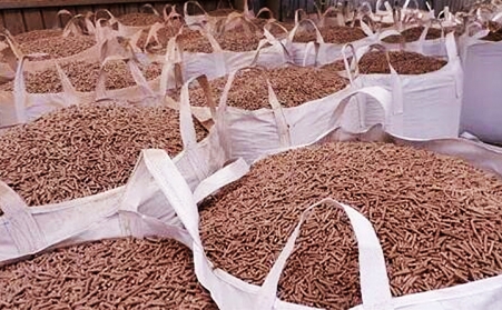 廣東省潮州市湘橋區：廢枝雜木“變身”生物質顆粒燃料，環保又增收