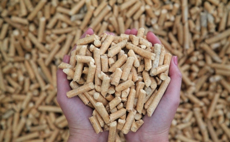 雲南：鼓勵生物質成型燃料替代燃煤 建立農林剩餘物回收儲運體係