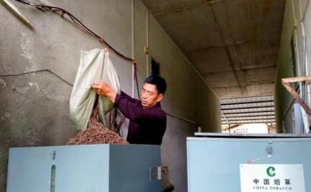 江西贛州煙區：開啟煙葉烘烤“綠色之門”