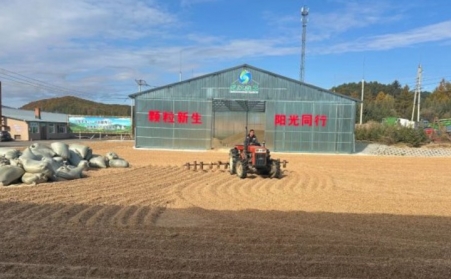 黑龍江鶴立林業局：生物質顆粒產業點燃綠色發展新引擎