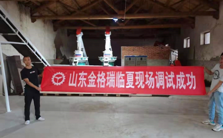 甘肅臨夏年產1萬5千噸生物質燃料午夜美女福利视频生產線調試完成